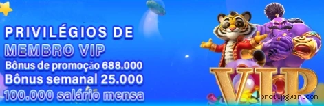 Broilpg Cassino Clássico